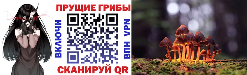 Галлюциногенные грибы ЛСД  где найти наркотики  Зеленогорск 